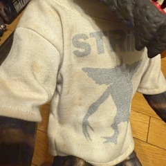 グレムリン　19インチ　ジュンプランニング限定
の画像