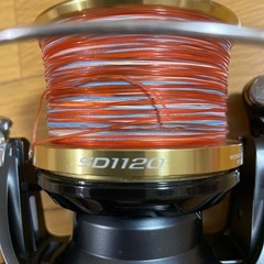 アクティブキャストＳＤ１１２０の画像