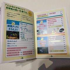 こんなにかわいい！ 熱帯魚の飼い方、育て方 勝田 正志 監修 グッピー ネオンテトラ メダカ プラティの画像