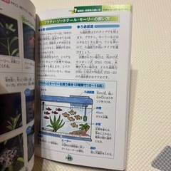 こんなにかわいい！ 熱帯魚の飼い方、育て方 勝田 正志 監修 グッピー ネオンテトラ メダカ プラティの画像