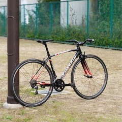 スペシャライズド　アレーコンプ2015 クロスバイク/ロードバイクの画像