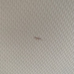 シングルマットレスの画像