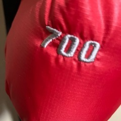 ノースフェイスダウンジャケットの画像