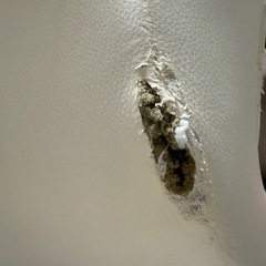 カウンターチェアの画像