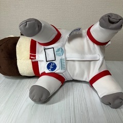 宇宙兄弟 アポ ぬいぐるみ ラバーキーホルダーの画像
