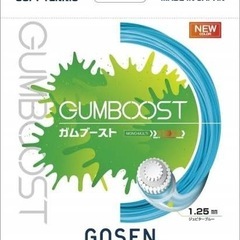 ガット張り　ストリング張り　ソフトテニス　（テニス、バドミ…