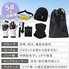 未使用 スキー スノーボード 女性用小物セット5点 初心者向け チケットホルダー ゴーグル グローブ 帽子 ネックウォーマー 収納袋付きの画像