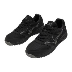 Mizuno ワーキングシューズ FreeRoad LS II 25.0cm 新品
の画像