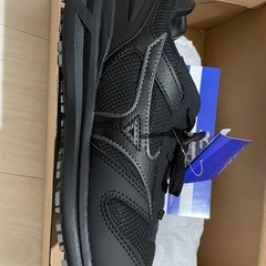 Mizuno ワーキングシューズ FreeRoad LS II 25.0cm 新品
の画像