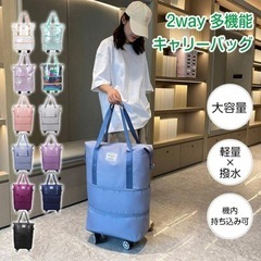 折りたたみキャリーバッグの画像