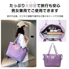 折りたたみキャリーバッグの画像