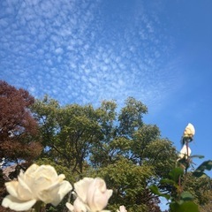 カメライベント📷