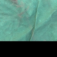 2トントラックシートの画像