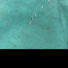 2トントラックシートの画像