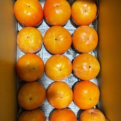 ①60個12.1kg 11／27収穫　和歌山県　九度山産　甘柿　富有柿　人気　旬　フルーツ　名産品の画像