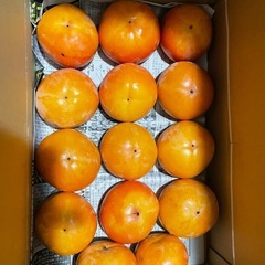 ①60個12.1kg 11／27収穫　和歌山県　九度山産　甘柿　富有柿　人気　旬　フルーツ　名産品の画像