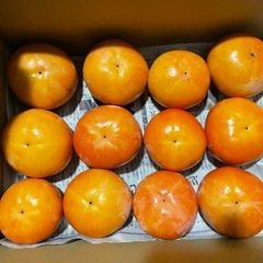①60個12.1kg 11／27収穫　和歌山県　九度山産　甘柿　富有柿　人気　旬　フルーツ　名産品の画像
