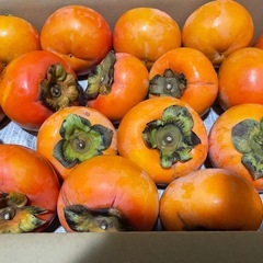 ①60個12.1kg 11／27収穫　和歌山県　九度山産　甘柿　富有柿　人気　旬　フルーツ　名産品の画像