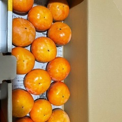 ③和歌山県　九度山産　名産　有名　ブランド　フルーツ　甘柿　富有柿　30個 6.5kg 詰め合わせの画像