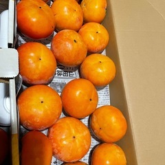 ③和歌山県　九度山産　名産　有名　ブランド　フルーツ　甘柿　富有柿　30個 6.5kg 詰め合わせの画像