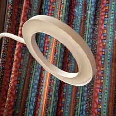 (お取引中)年末・断捨離・観葉植物・照明もセットの画像