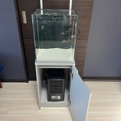 海道システム水槽＆クーラー付きの画像