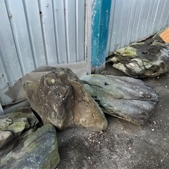 庭石 
の画像