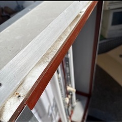 お店のは看板の画像