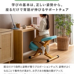 プロポーションチェアー　補助クッション付きの画像