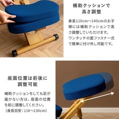 プロポーションチェアー　補助クッション付きの画像