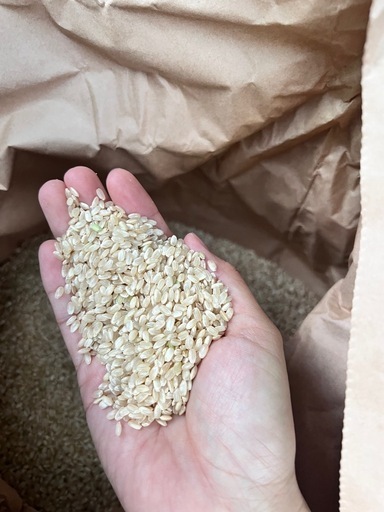 彩のきずな　玄米　30キロ　新米　お米　④