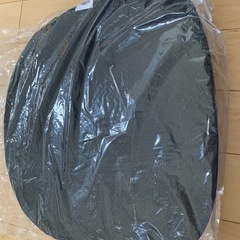 トゥルースリーパーの座布団《新品》2個セットの画像