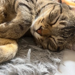 つながりのない関係