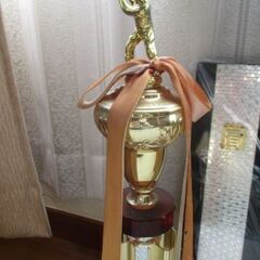 盾とトロフィーまとめて６つ　盾3枚　トロフィー３本　野球・陸上・鳩レース・ゲーム？・ボーリングの画像