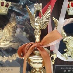 盾とトロフィーまとめて６つ　盾3枚　トロフィー３本　野球・陸上・鳩レース・ゲーム？・ボーリングの画像