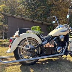 カワサキ　バルカン400 チョロスタイル　実働
の画像