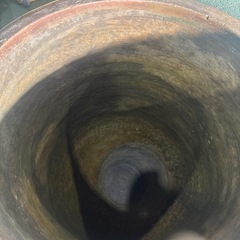 特大！睡蓮鉢 の画像