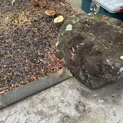 庭石
の画像