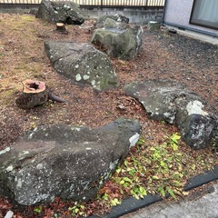 庭石
の画像
