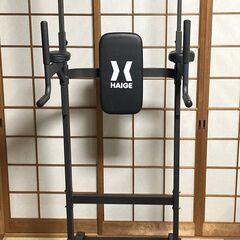 HAIGE ハイガー　マルチジム　ぶら下がり健康器　マット付きの画像