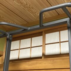 HAIGE ハイガー　マルチジム　ぶら下がり健康器　マット付きの画像