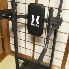 HAIGE ハイガー　マルチジム　ぶら下がり健康器　マット付きの画像