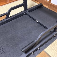 HAIGE ハイガー　マルチジム　ぶら下がり健康器　マット付きの画像