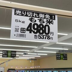 令和6年産　新見市　ひめのもち10kg　玄米の画像