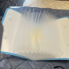 ラブブ持ち運びファイルケース
の画像