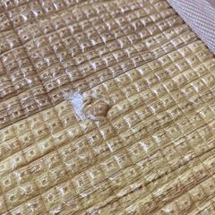 プレイマット 205×154cm リバーシブル 木目調 子ども用の画像