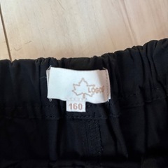 【未使用】logosロゴス　160の画像