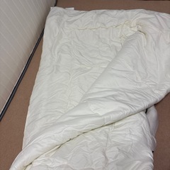 ニトリ　セミダブル掛布団の画像