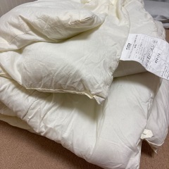 ニトリ　セミダブル掛布団の画像