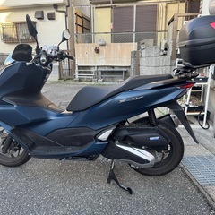 ホンダ pcx125 jk-05 2023年式の画像